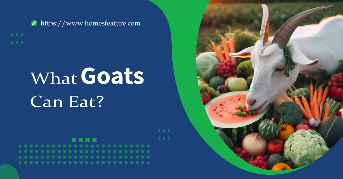 What do Goats Eat