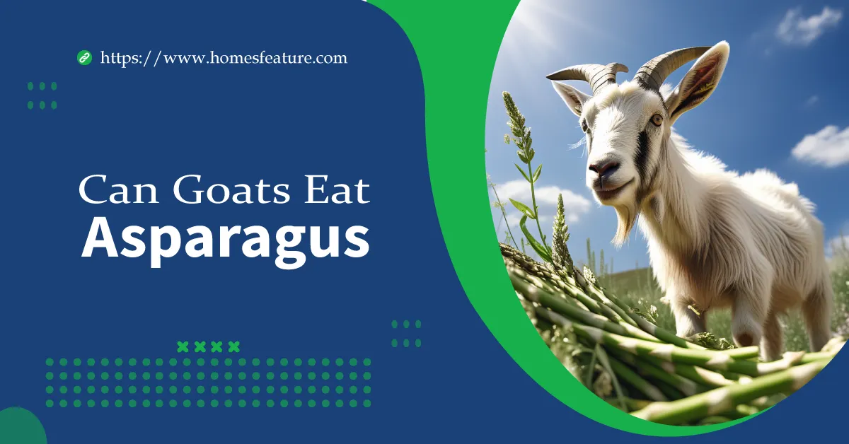 Can goats eat asparagus