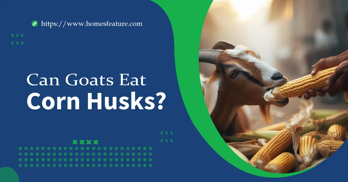 Can Goats Eat Corn Husks