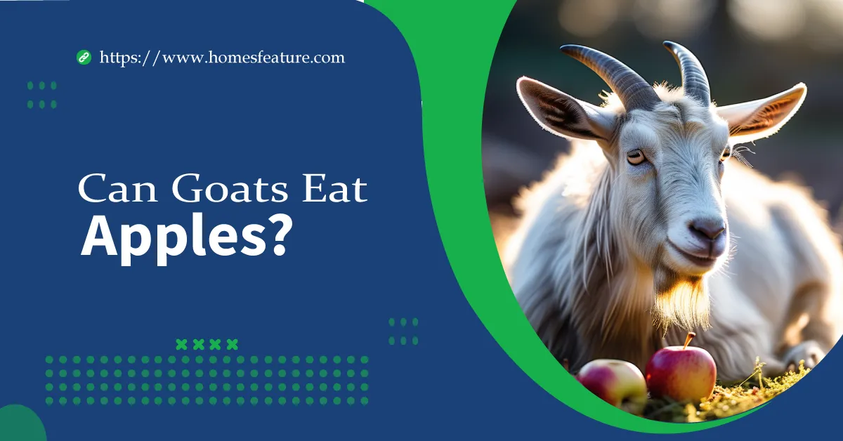 Can Goats Eat Apples