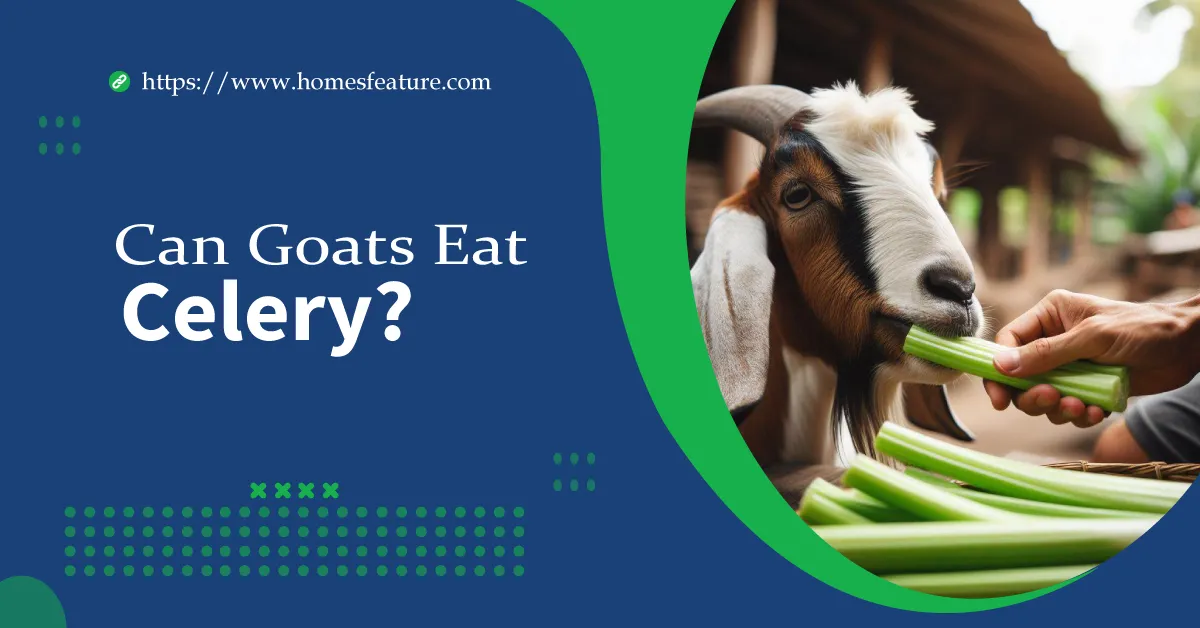 Can Goats Eat Celery