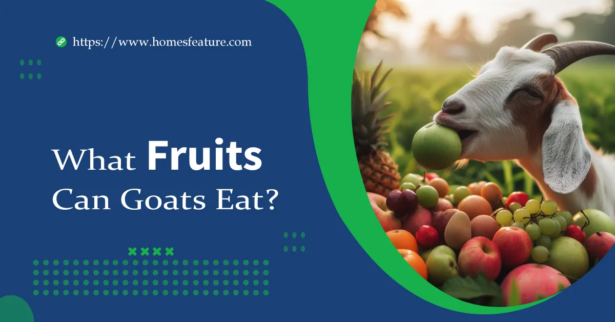 What Fruits Can Goats Eat