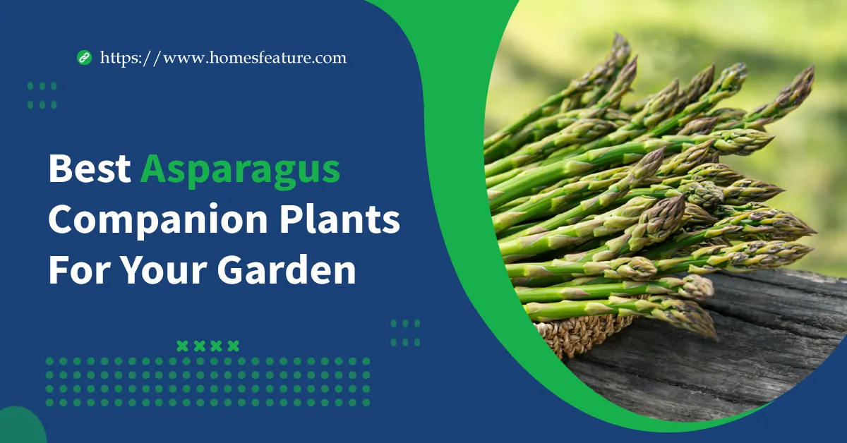 Asparagus Companion Plants