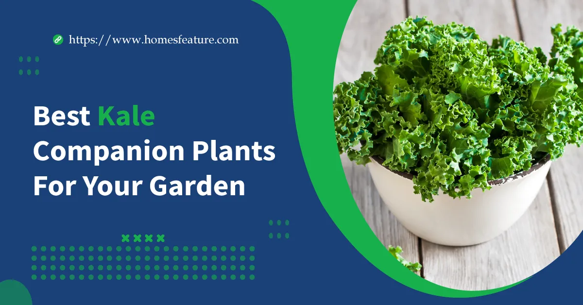Kale Companion Plants
