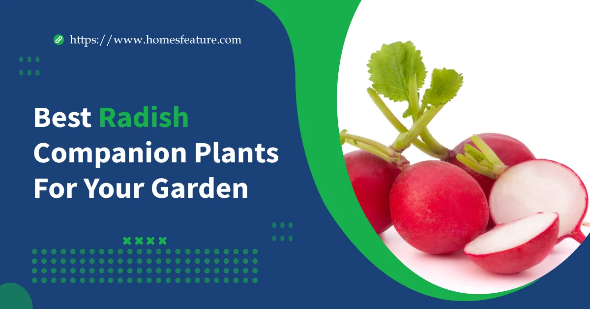 radish companion plants