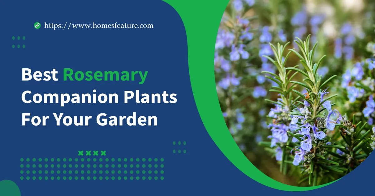 rosemary companion plants