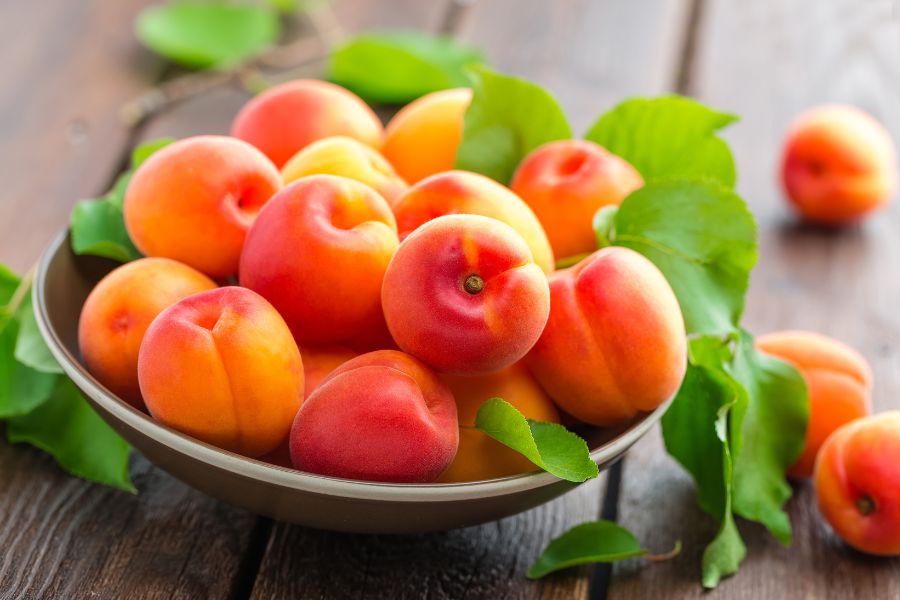 Apricots Bowl