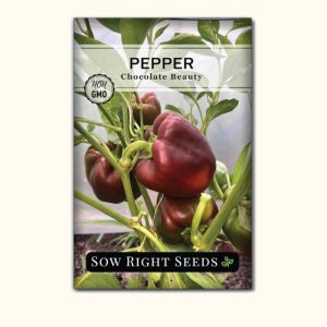 Chocolate Beauty Pepper