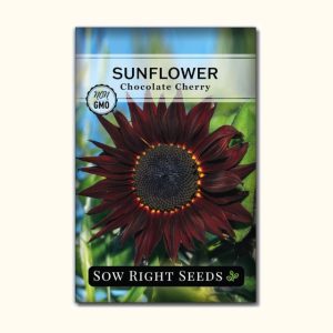 Chocolate Cherry Sunflower Seeds