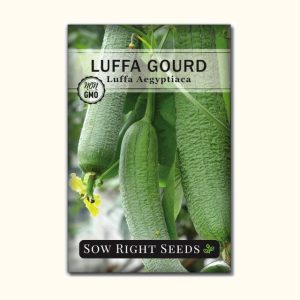 Luffa Gourd